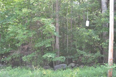 3 Brown Rd unit Lot 3, Wolfeboro, NH 03894 - photo 4