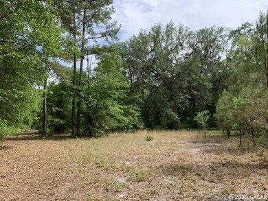 0 SE Family Rd, Lulu, FL 32061 - photo 6