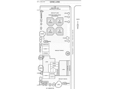 29639 Dane Ln, Junction City, OR 97448 - photo 5