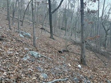 1135 Embry Ct, Ranger, GA 30734 - photo 5