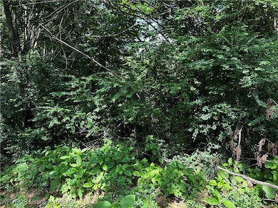 TBD N Rudy Rd, van Buren, AR 72956 - photo 3