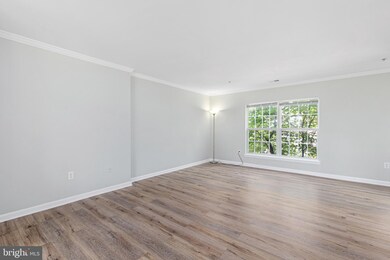 23428 Rainbow Arch Dr, Clarksburg, MD 20871 - photo 6