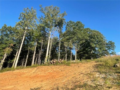 999999 Alexander Rd, Leicester, NC 28748 - photo 2