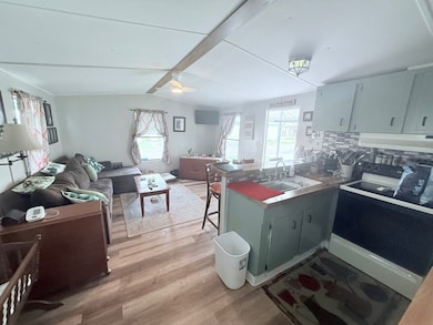 4 Topaz Dr, Eustis, FL 32726 - photo 3