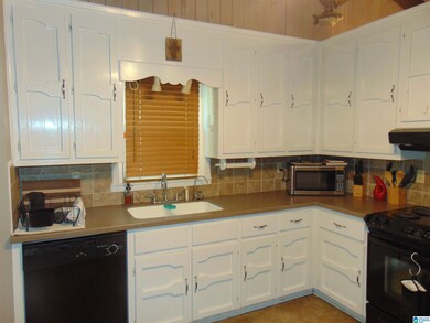 7223 Silver Ln, Adger, AL 35006 - photo 7