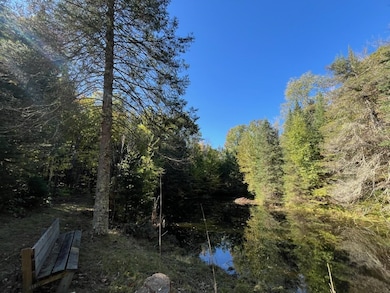 0 Fire Lane Rd, Evergreen, WI 54491 - photo 7