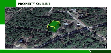 Moon Mist Dr, Trinity, TX 75862 - photo 4