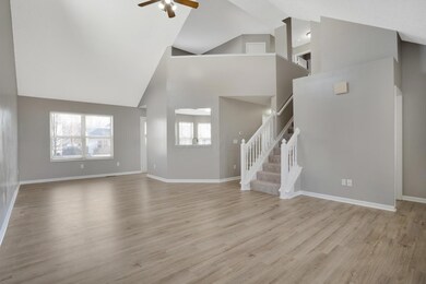 06_DSC00005_mls
