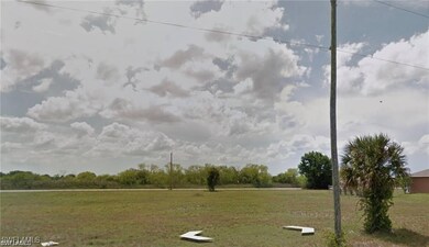 View of grassy yard