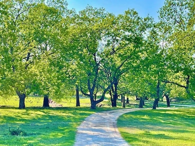 646 Victor Eckhardt Rd, Fredericksburg, TX 78624 - photo 4