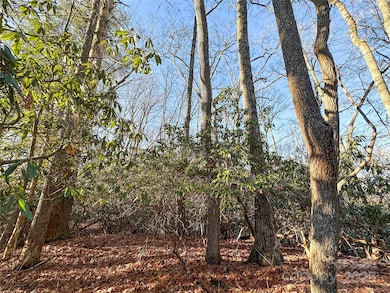 D17 Caroline Ln, Pisgah Forest, NC 28768 - photo 7