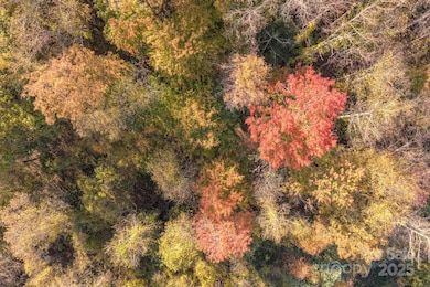 279 Morgan Branch Rd, Weaverville, NC 28787 - photo 6