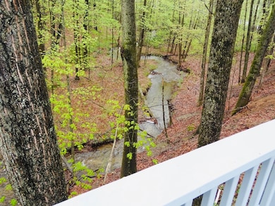View from deck