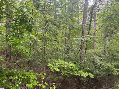 0 Lake Forest Dr unit 1540821, Abbeville, SC 29620 - photo 4