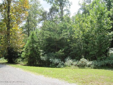 10 Eagle Circle View of lot along the ro