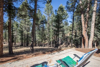 441 Paint Pony Ln, Florissant, CO 80816 - photo 5