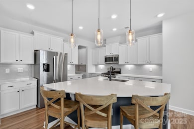 14510 Grundys Way, Davidson, NC 28036 - photo 3