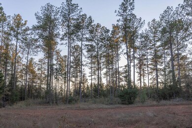 Tbd Barr Chapel Rd, Edgefield, SC 29824 - photo 4