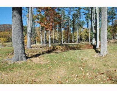 Land/Lot.