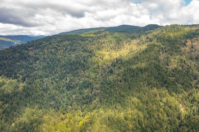 1000 Chappelle Rd, Weitchpec, CA 95546 - photo 2