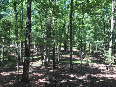 Lot 3 Guillebeau Rd, Lincolnton, GA 30817 - photo 6