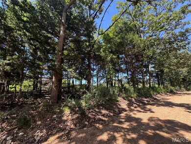 0 Maries 638 Rd unit MIS25067458, Dixon, MO 65459 - photo 7