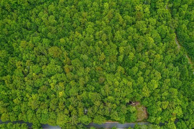 0 Old Post Rd unit Lot 2 4878628, Newbury, NH 03255 - photo 2