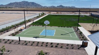 AZH_Belrose_Pic_Amenities_Basketball (4)