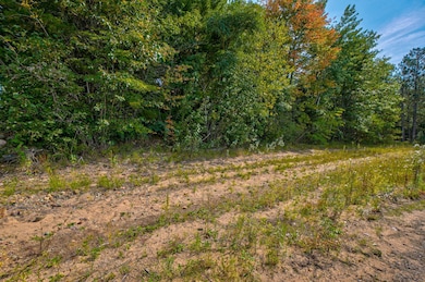 Lot 1 Division Ave, Stone Lake, WI 54876 - photo 6