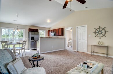 246 Sweet Gum Ln Richlands NC-large-007-