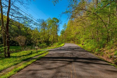 828 Blue Stocking Hllw Rd, Shelbyville, TN 37160 - photo 2