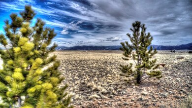 607 Shenandoah Path, Hartsel, CO 80449 - photo 7