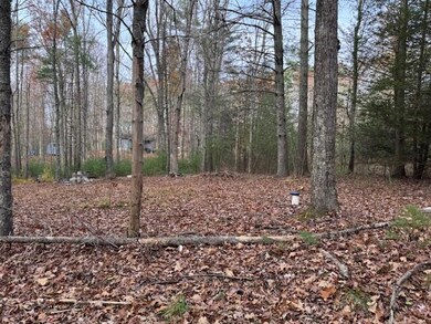 Lot 66 Sec Underwood Ln, Gap Mills, WV 24941 - photo 6