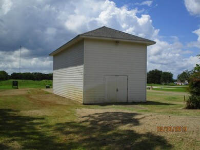 1195 Riverview Ranch, Brazoria, TX 77422 - photo 4