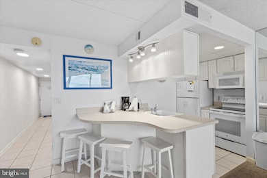 Golden Sands, Ocean City, MD 21842 - photo 6