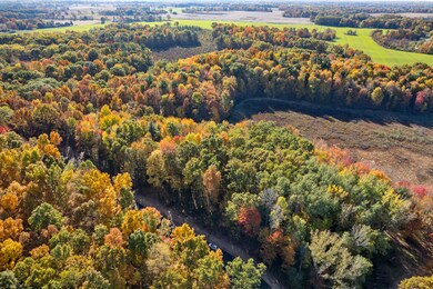 10790 14 Mile Rd NE, Rockford, MI 49341 - photo 6