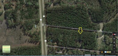 0 Rosa Green Road, Awendaw 29429
