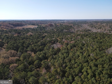 0 Heidi Trl Lot 10, Buckhead, GA 30625 - photo 6