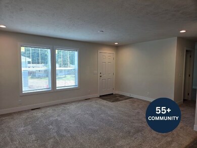 1133 Yeomans St unit 129, Ionia, MI 48846 - photo 3