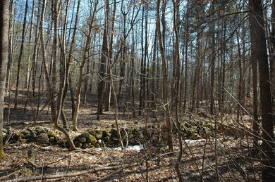 51 Williams Rd, Ashburnham, MA 01430 - photo 4