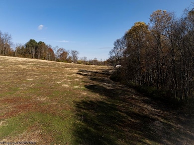 TBD N Preston Hwy, Bruceton Mills, WV 26525 - photo 7