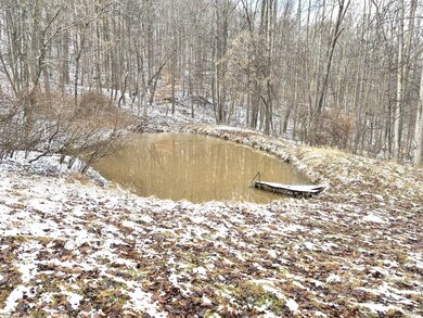 3085 Sycamore Run Rd, Glenville, WV 26351 - photo 7