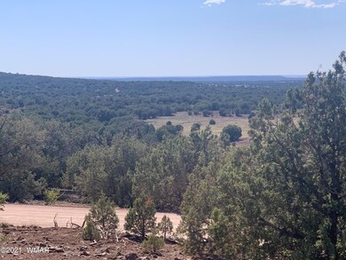 52A6DEF2-F13D-4EE4-A77F-77067207C64A