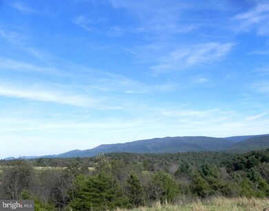 0 Red Berry Rd, Mathias, WV 26812 - photo 3