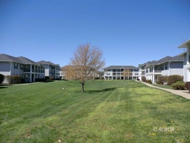 Lawn