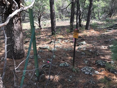 National Forest