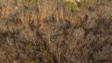 DJI_20250301151050_0402_D