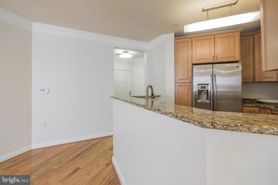 Dominion Heights unit 313, Arlington, VA 22207 - photo 7