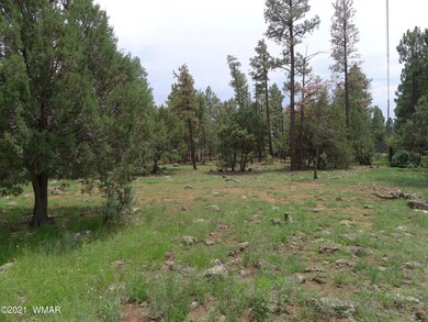 4940 S 32nd St, Show Low, AZ 85901 - photo 5