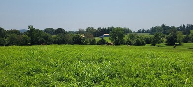 10.99 AC Eckles Cemetery Rd, Livingston, TN 38570 - photo 2